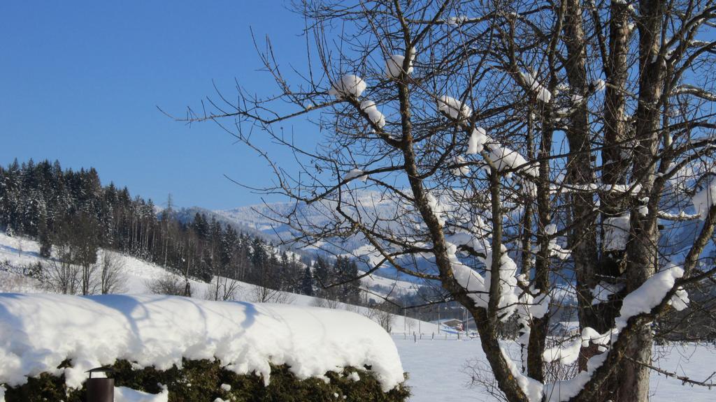 Apartamento Ramseiderhof Saalfelden Exterior foto